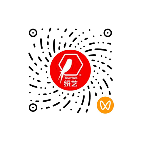 统艺国匠大师视频号